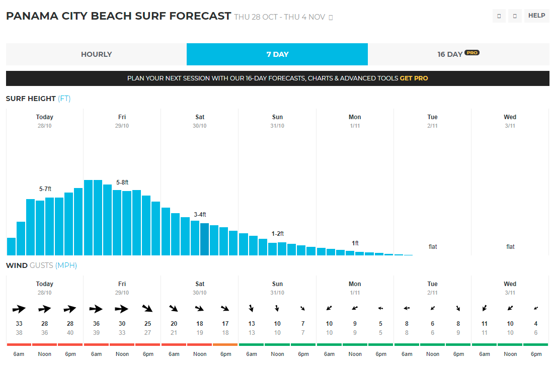 Surf Report Mr Surf's Surf Shop